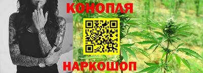 спайс Малгобек