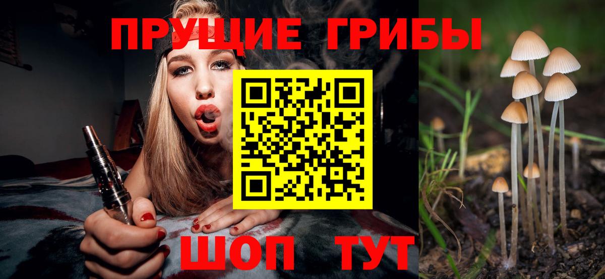 Галлюциногенные грибы Psilocybine cubensis Верхний Уфалей