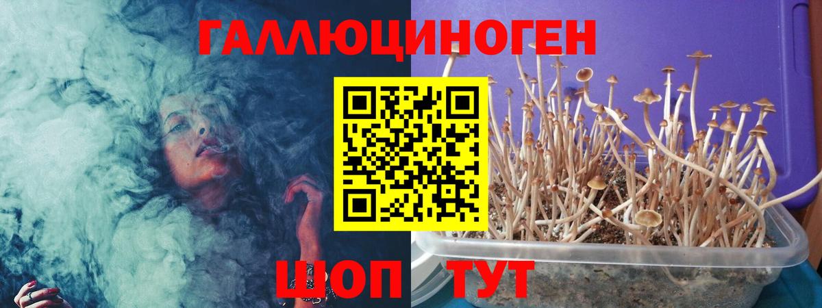 Галлюциногенные грибы Magic Shrooms  Галлюциногенные грибы Psilocybe  Верхний Уфалей  Вход с VPN 